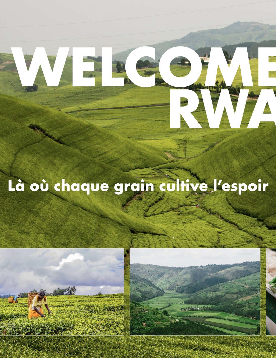 The Fest, magazine officiel 2025 — page 10