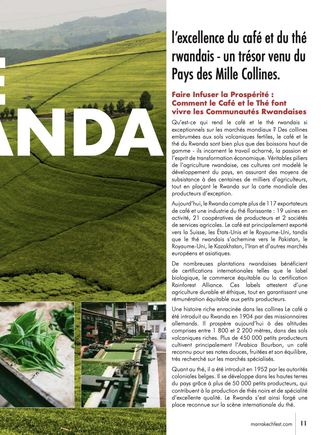 The Fest, magazine officiel 2025 — page 11