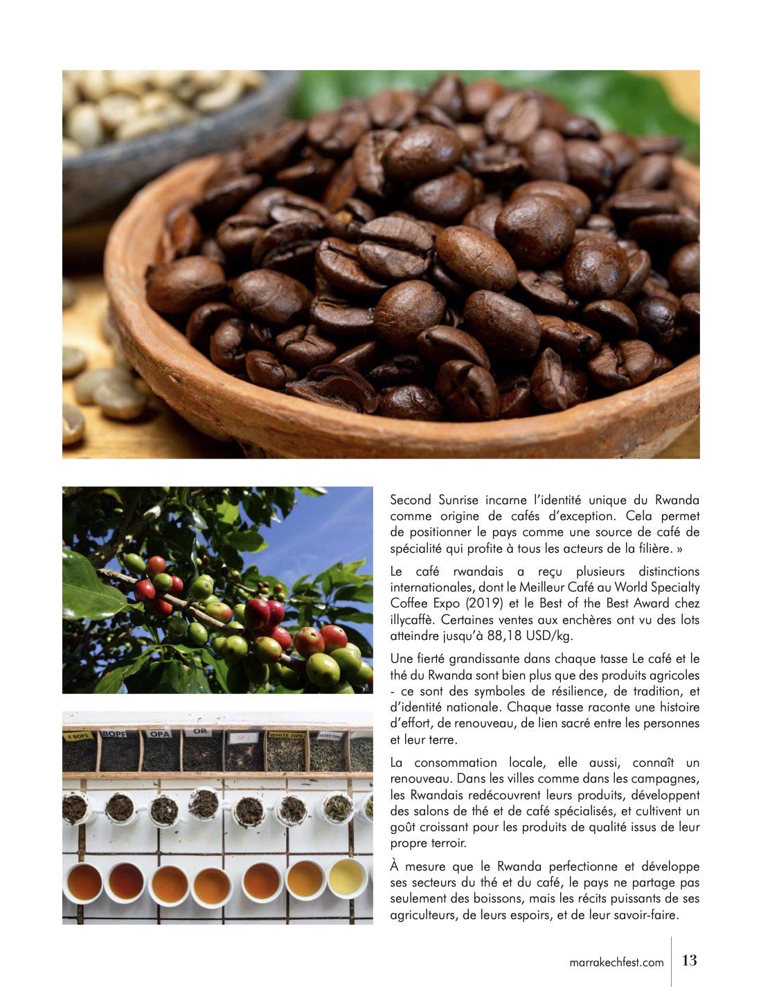 The Fest, magazine officiel 2025 — page 13