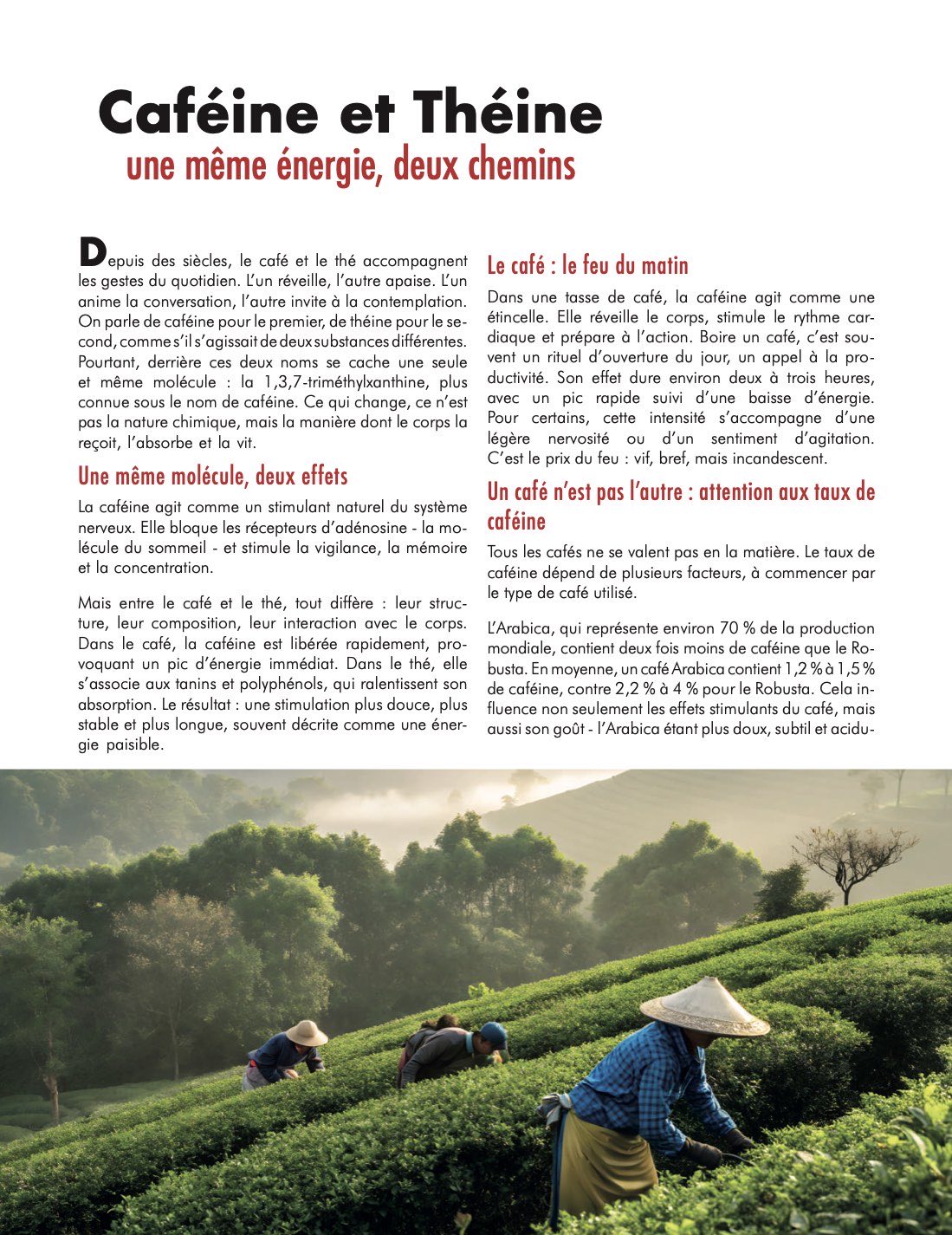 The Fest, magazine officiel 2025 — page 22