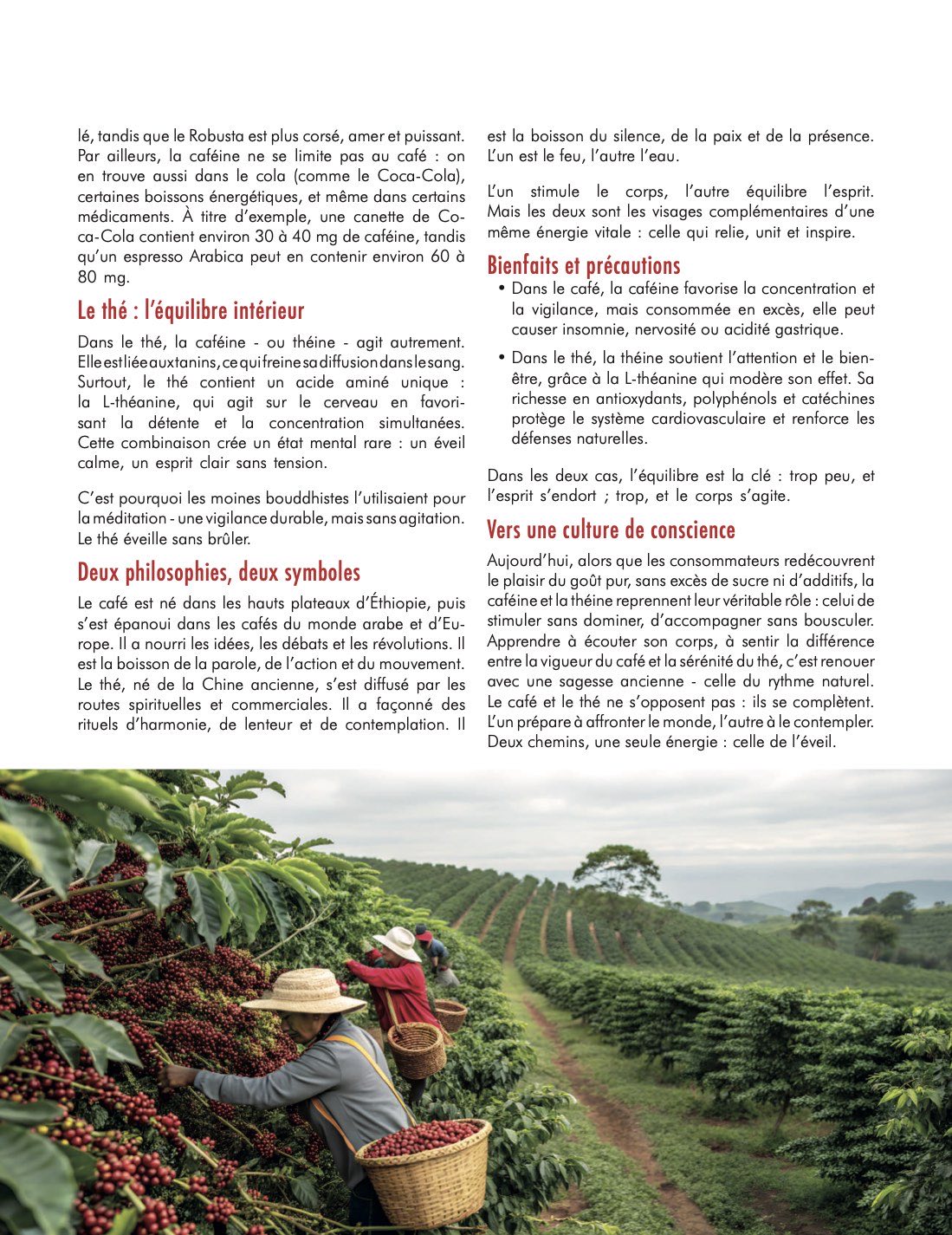 The Fest, magazine officiel 2025 — page 23