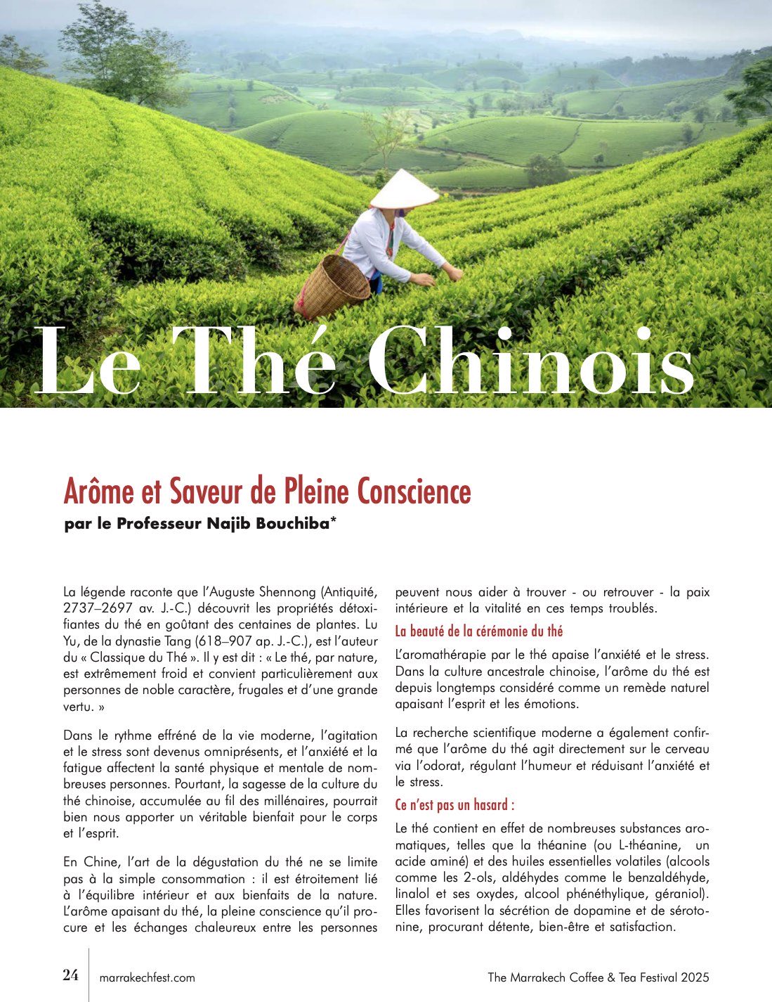 The Fest, magazine officiel 2025 — page 24