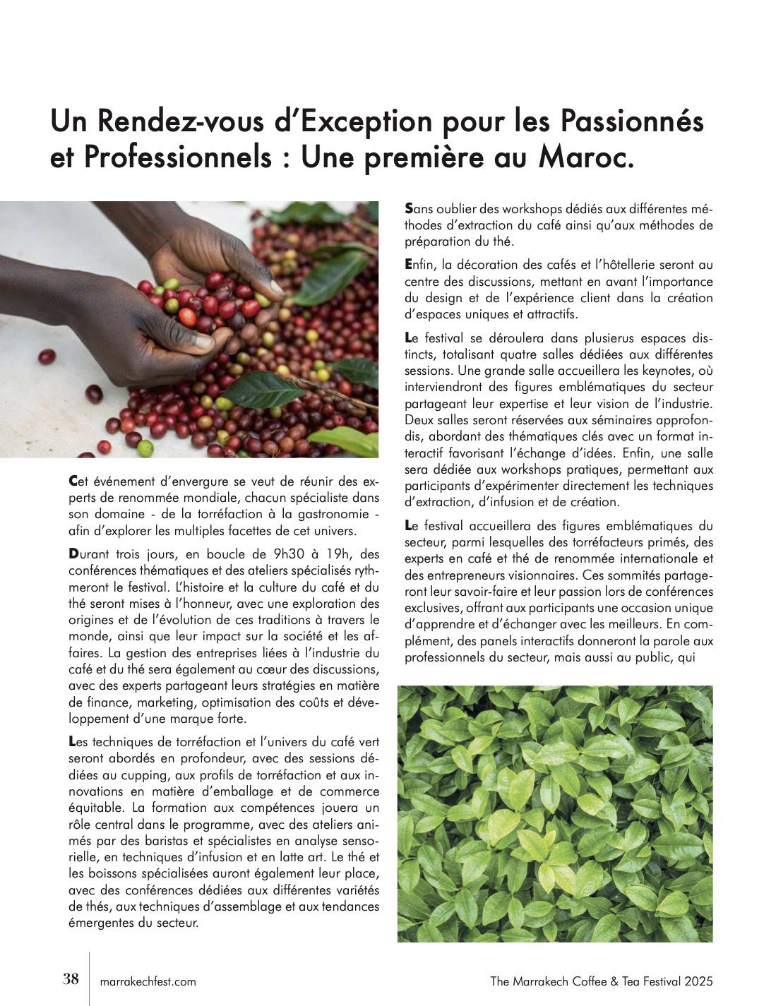The Fest, magazine officiel 2025 — page 38